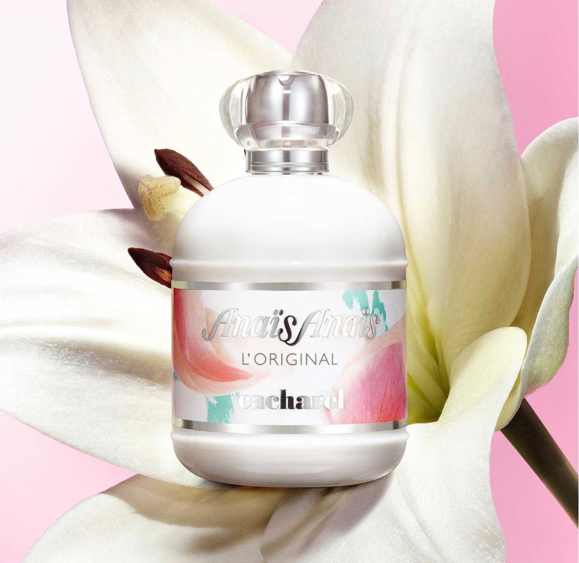 Anaïs Anaïs – L’Original | Cacharel | Eau de Toilette 100 ml