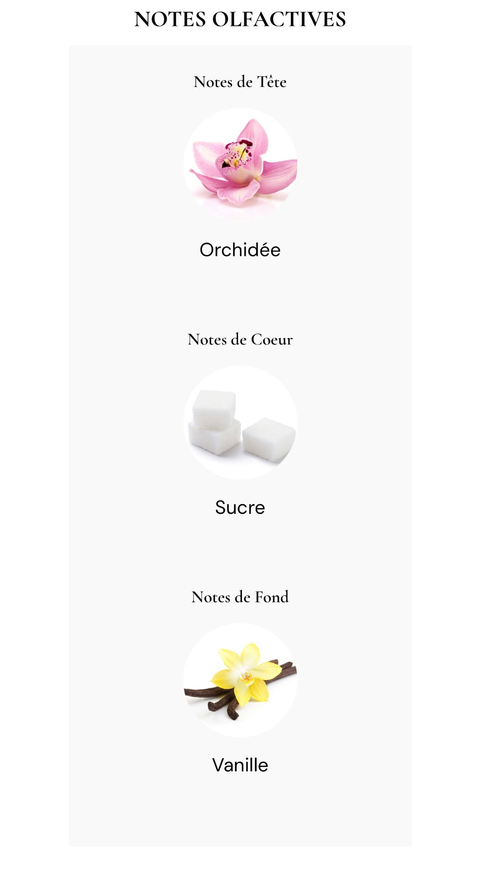 Sucre Noir – Arte Profumi (Made in Italy 🇮🇹)